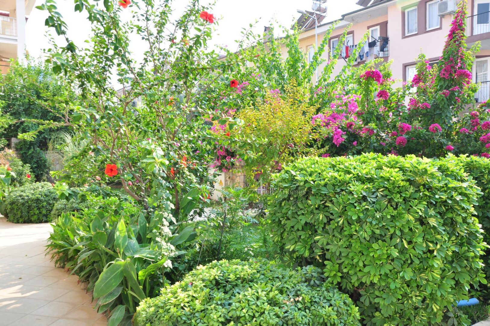 FURNISHED 2-BED APARTMENT IN PATLANGIC