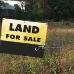 land for sale in Hisaronu