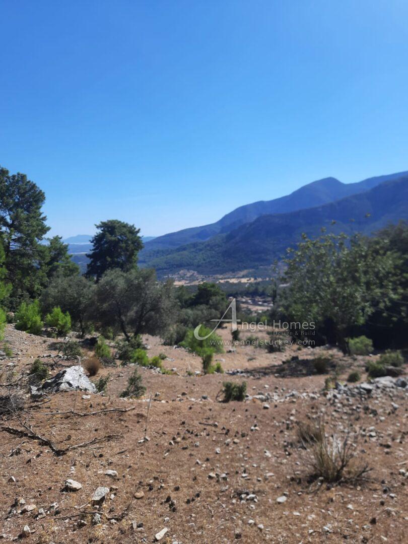 WhatsApp Image 2024-03-12 at 12.18.42 (2) LARGE PLOT OF LAND İN KABAAGAC