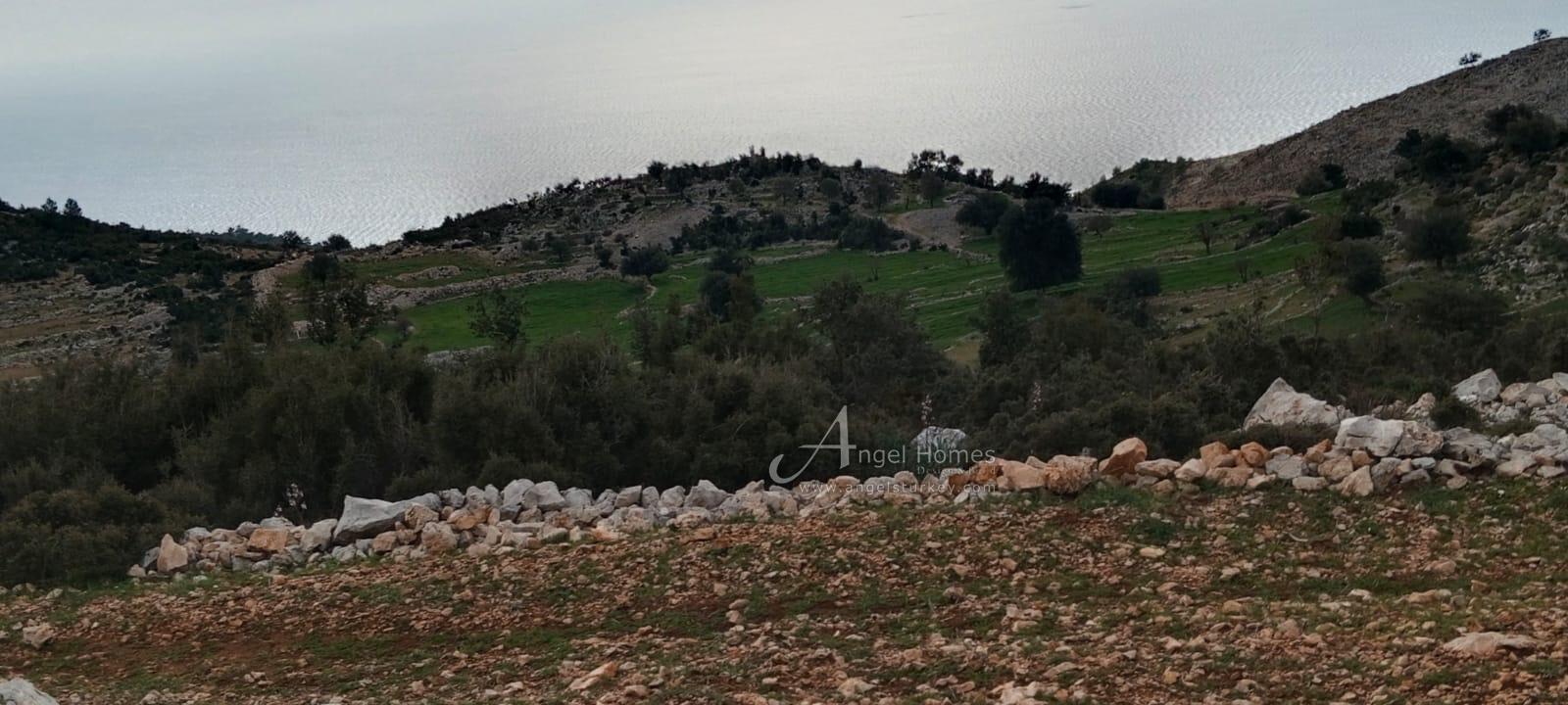 whatsapp-image-2024-06-25-at-131333-1 land in bogazaci