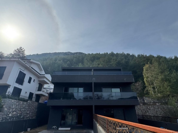 villas for sale in Uzumlu