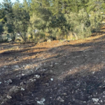 plot of land for sale in Ovacik