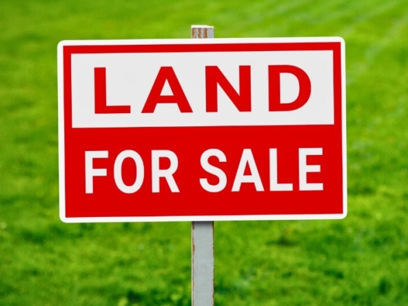 land for sale near koycegiz
